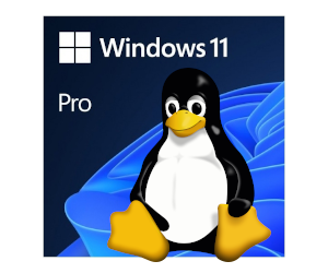 DualBoot Windows 11 PRO