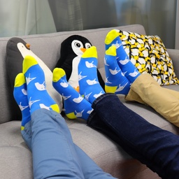 Slimbook's socks