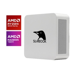 One AMD Ryzen 7 8845HS