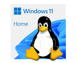 DualBoot Windows 11 HOME