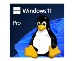 DualBoot Windows 11 PRO
